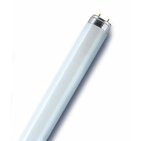 Osram Fluorescent Tube 4ft T8 G13 36W - Cool White
