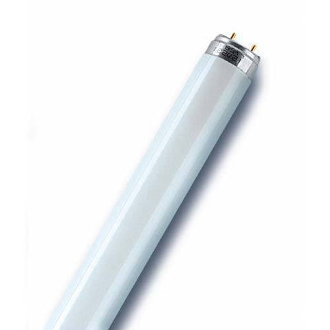 Osram Fluorescent Tube 5ft T8 G13 58W - Cool White