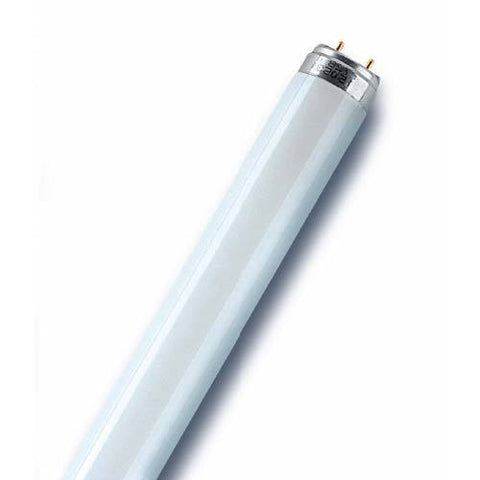 Osram Fluorescent Tube 30W T8 640 Basic Plus - Cool White