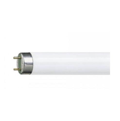 ACDC LED Frosted Tube T8 G13 18W 1480lm Daylight - 4ft