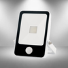 Eurolux LED Floodlight 10W With Sensor And Remote